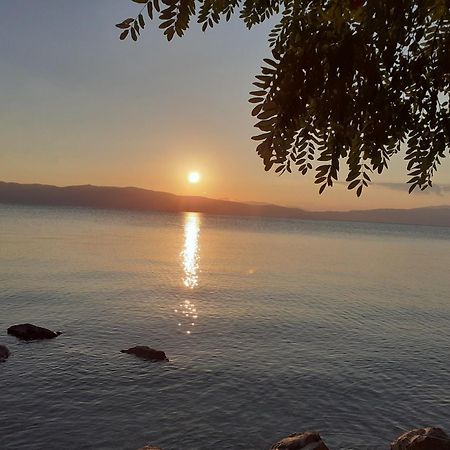 Guesthouse Zimovski Peštani Zewnętrze zdjęcie