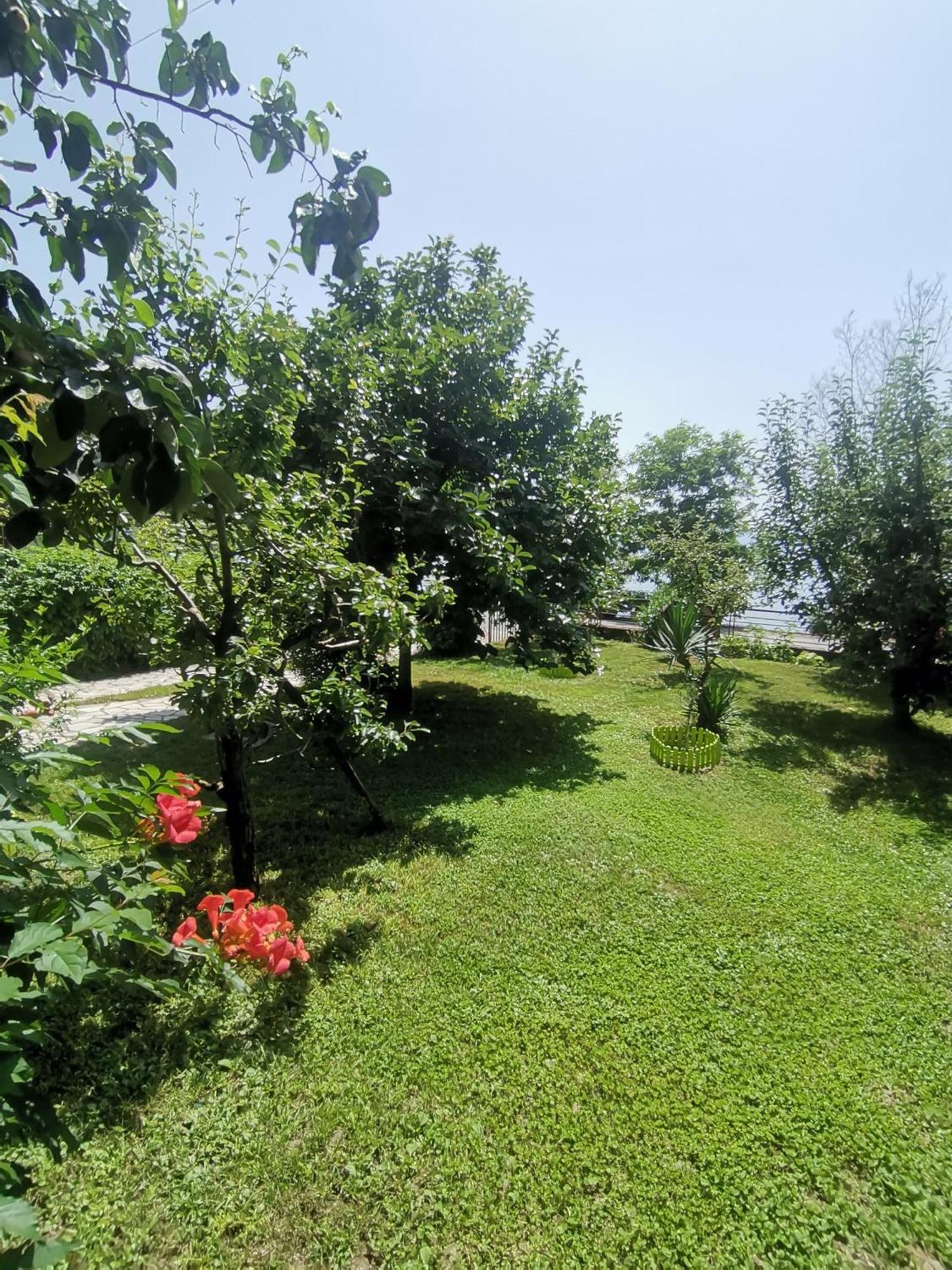 Guesthouse Zimovski Peštani Zewnętrze zdjęcie