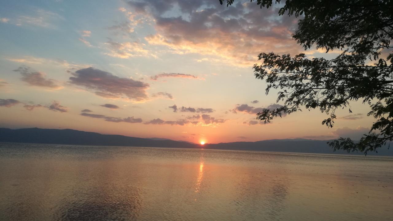 Guesthouse Zimovski Peštani Zewnętrze zdjęcie