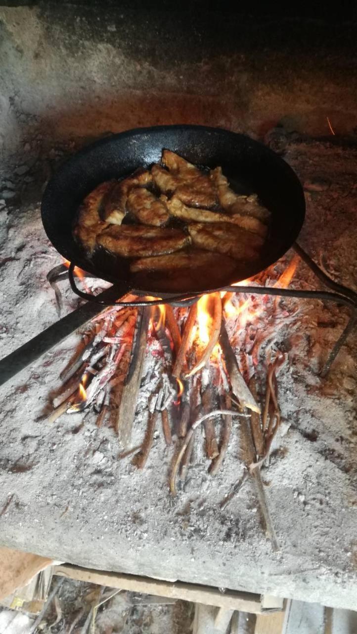 Guesthouse Zimovski Peštani Zewnętrze zdjęcie