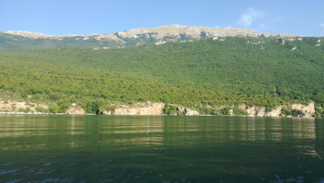Guesthouse Zimovski Peštani Zewnętrze zdjęcie